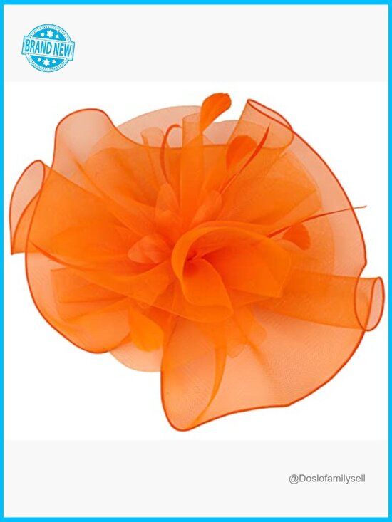 Fascinator Hat Headband Wedding Cocktail Mesh Feathers Hair Clip Floral Elegant